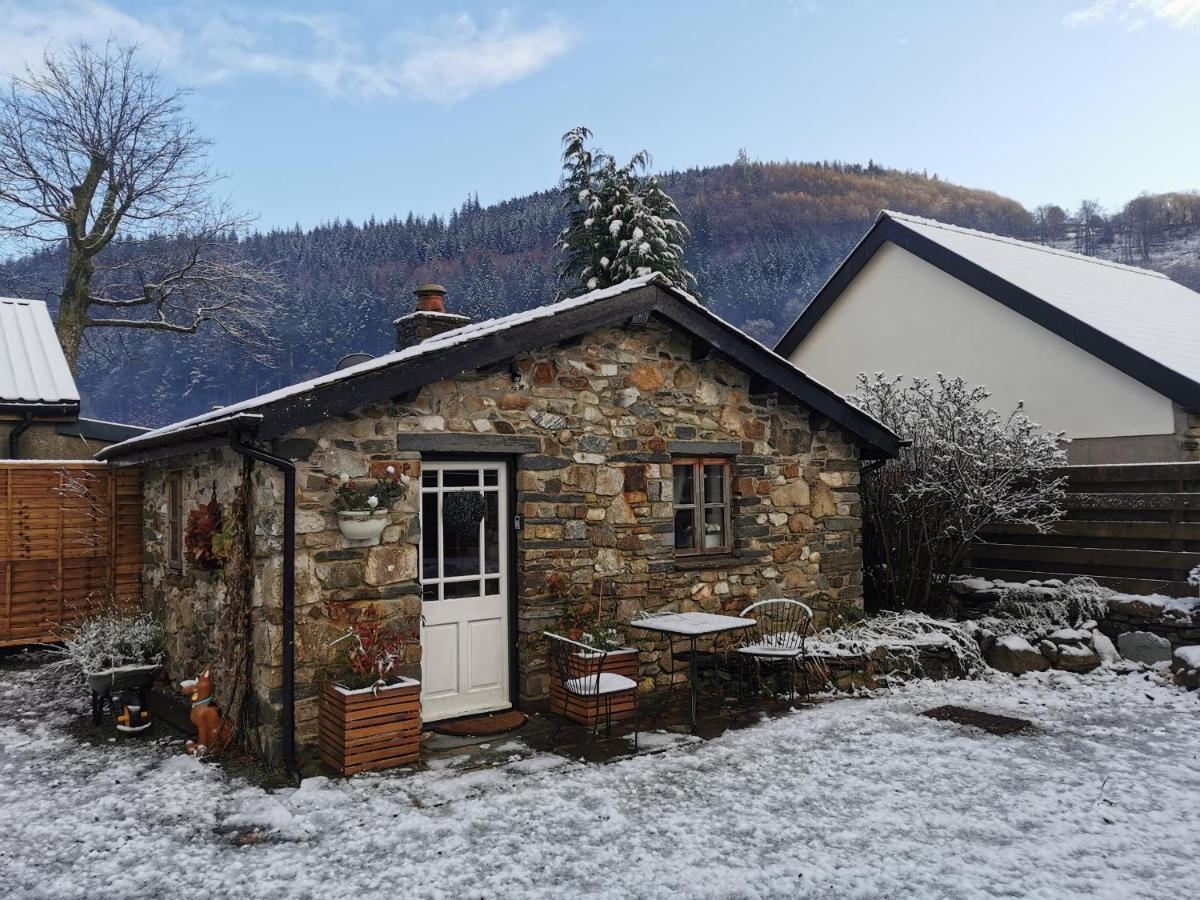 Dolweunydd Bed And Breakfast Betws-y-Coed Esterno foto